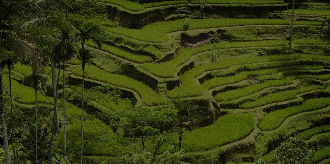 land_banking land_banking